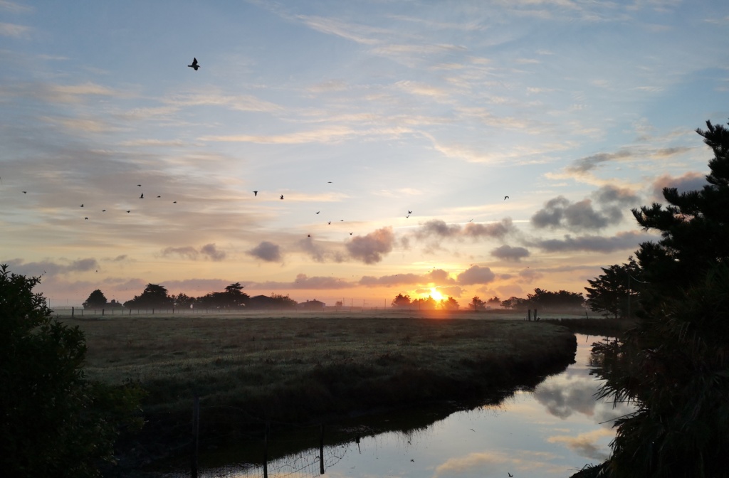 marais-bouin